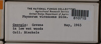 Image Associated With the Occurence